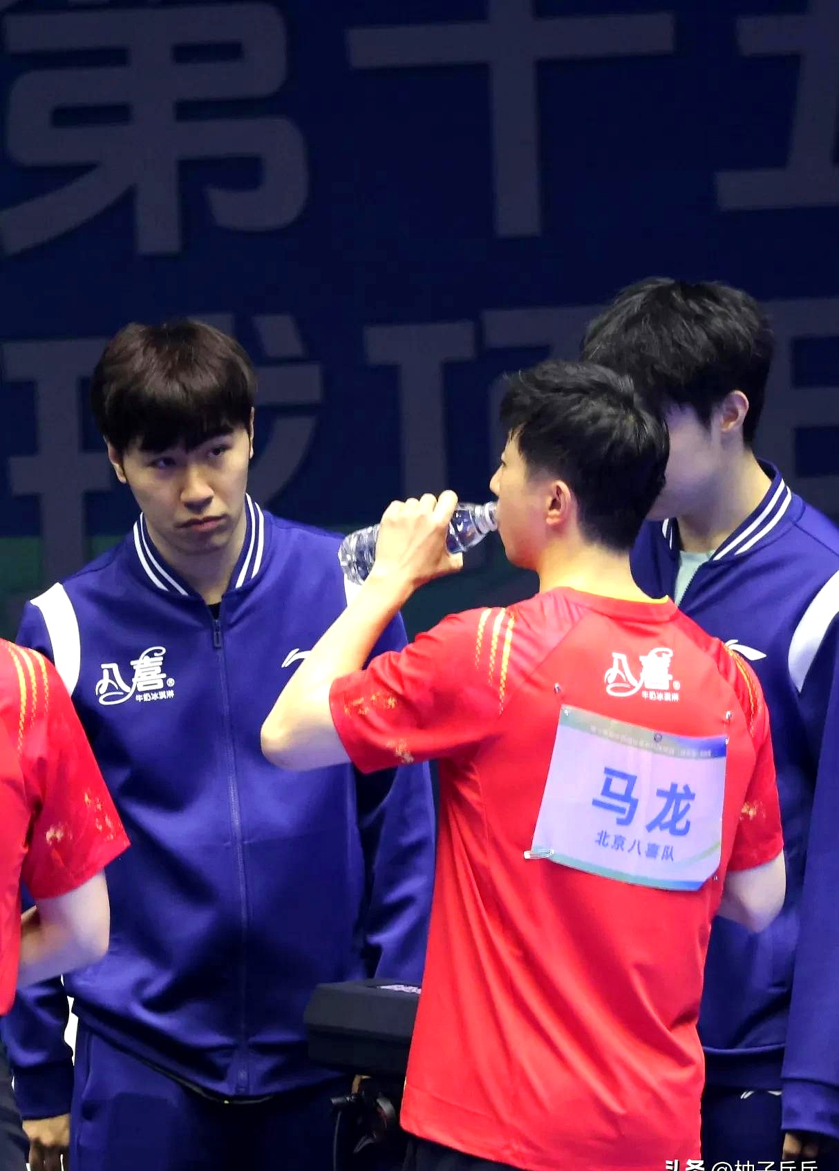 德国队轻取中国队，马龙状态火热