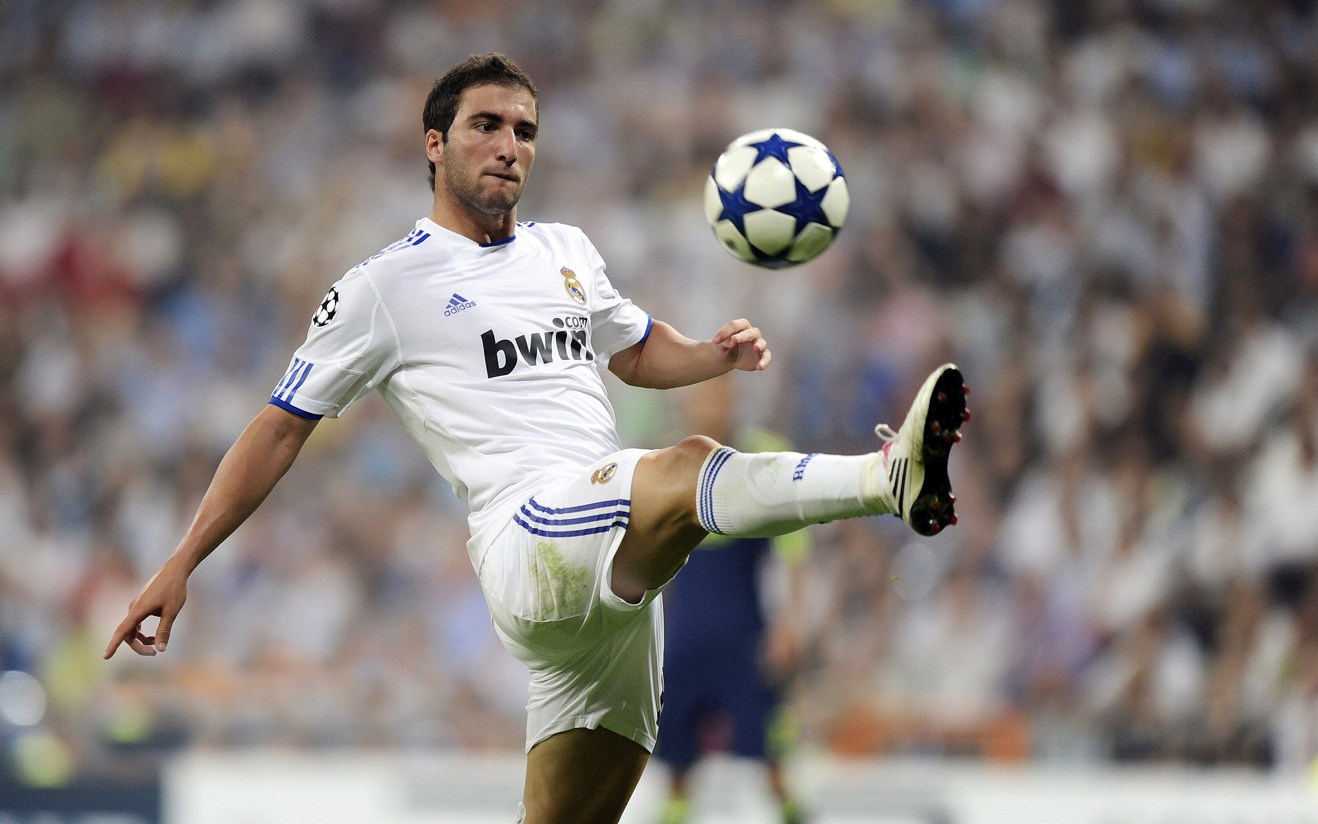 年度焦点之战之夜，恩佐，那个在喧嚣中聆听寂静的人