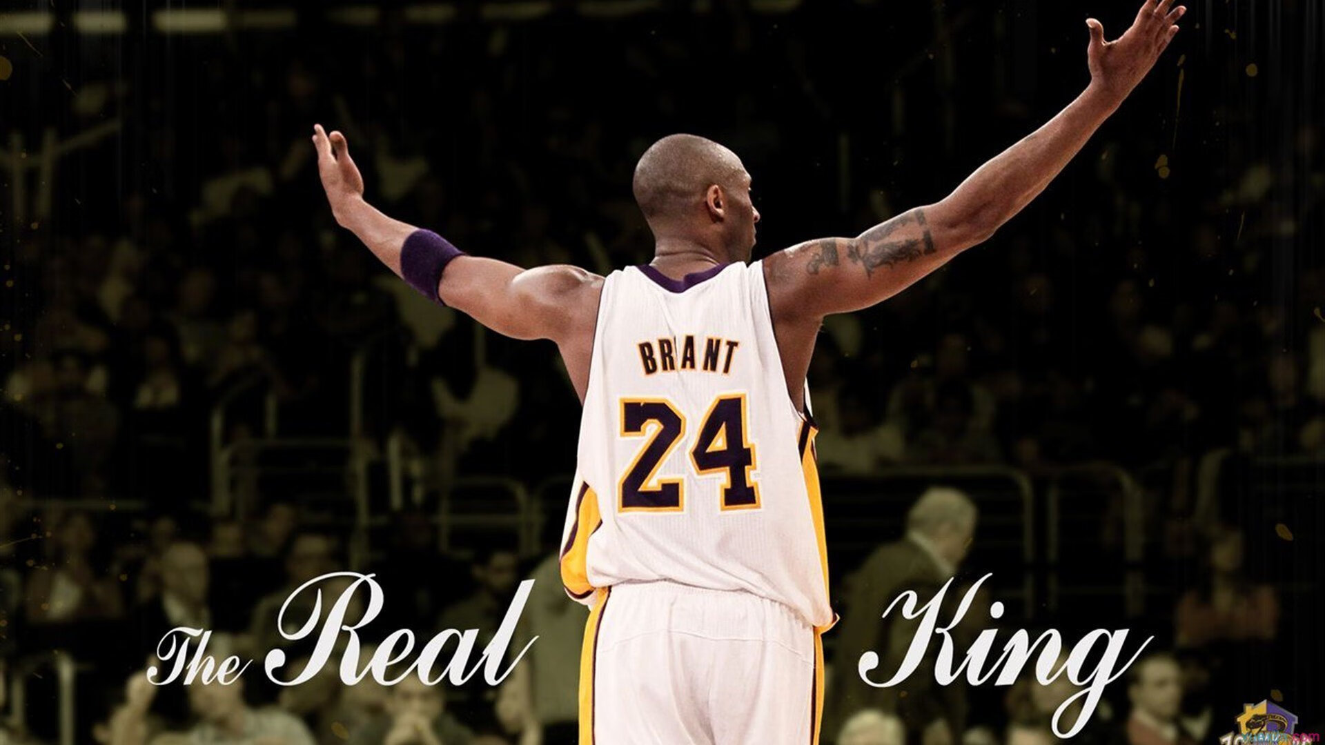 爱游戏官方-戈麦斯跨界接管，当威尔士足球的奇迹映照NBA季后赛的孤胆英雄